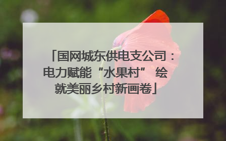 国网城东供电支公司：电力赋能“水果村” 绘就美丽乡村新画卷