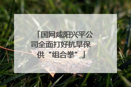 国网咸阳兴平公司全面打好抗旱保供“组合拳”