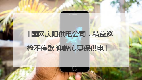 国网庆阳供电公司：精益巡检不停歇 迎峰度夏保供电