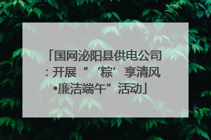 国网泌阳县供电公司：开展“‘粽’享清风 •廉洁端午”活动