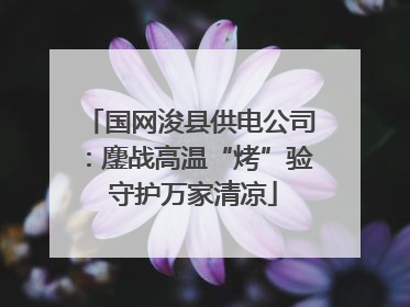 国网浚县供电公司：鏖战高温“烤”验 守护万家清凉