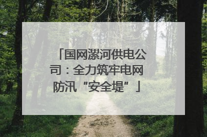 国网漯河供电公司：全力筑牢电网防汛“安全堤”