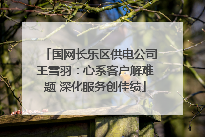国网长乐区供电公司王雪羽：心系客户解难题 深化服务创佳绩