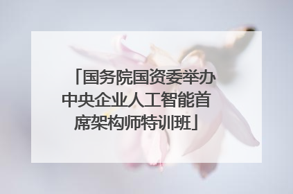 国务院国资委举办中央企业人工智能首席架构师特训班