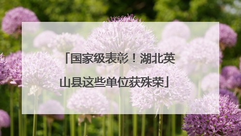 国家级表彰！湖北英山县这些单位获殊荣