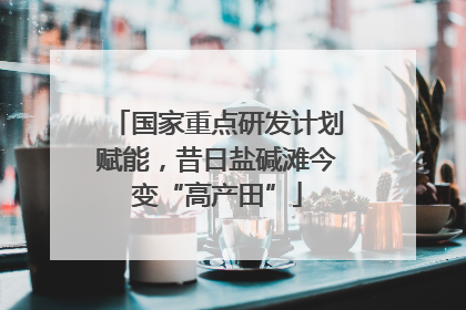 国家重点研发计划赋能，昔日盐碱滩今变“高产田”