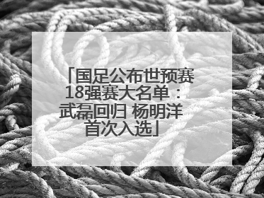 国足公布世预赛18强赛大名单：武磊回归 杨明洋首次入选