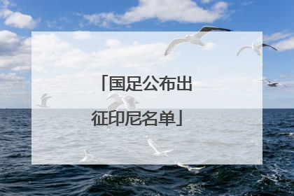 国足公布出征印尼名单
