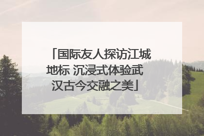 国际友人探访江城地标 沉浸式体验武汉古今交融之美