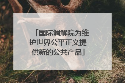 国际调解院为维护世界公平正义提供新的公共产品