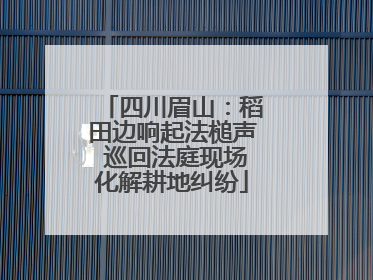 四川眉山：稻田边响起法槌声 巡回法庭现场化解耕地纠纷