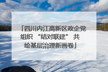 四川内江高新区政企党组织 “结对联建” 共绘基层治理新画卷