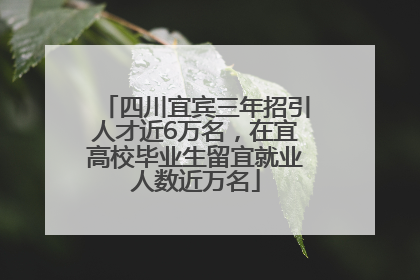 四川宜宾三年招引人才近6万名，在宜高校毕业生留宜就业人数近万名