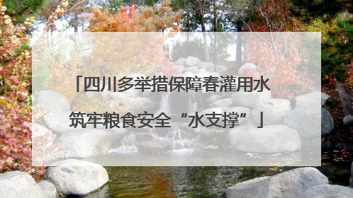 四川多举措保障春灌用水 筑牢粮食安全“水支撑”