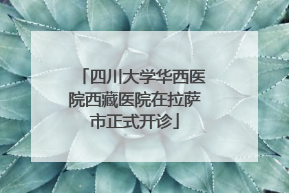 四川大学华西医院西藏医院在拉萨市正式开诊
