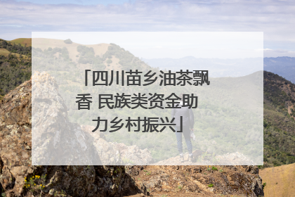 四川苗乡油茶飘香 民族类资金助力乡村振兴