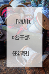 四川10名干部任新职