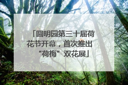 圆明园第三十届荷花节开幕，首次推出“荷梅”双花展