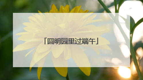 圆明园里过端午
