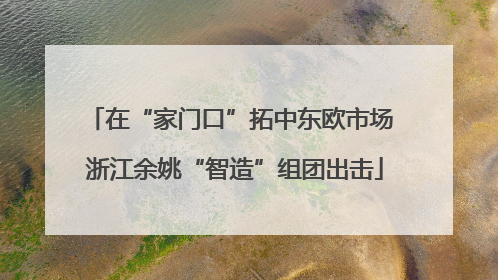 在“家门口”拓中东欧市场 浙江余姚“智造”组团出击