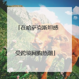 在哈萨克斯坦感受跨境网购热潮