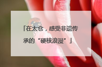 在太仓，感受非遗传承的“硬核浪漫”