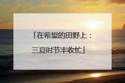 在希望的田野上：三夏时节丰收忙