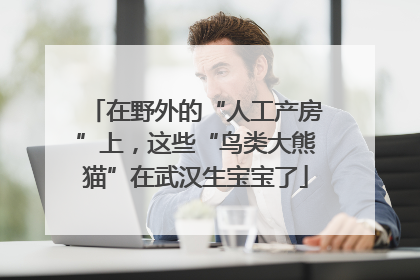 在野外的“人工产房”上，这些“鸟类大熊猫”在武汉生宝宝了