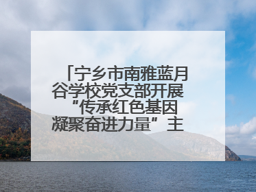 宁乡市南雅蓝月谷学校党支部开展“传承红色基因 凝聚奋进力量”主题党日活动