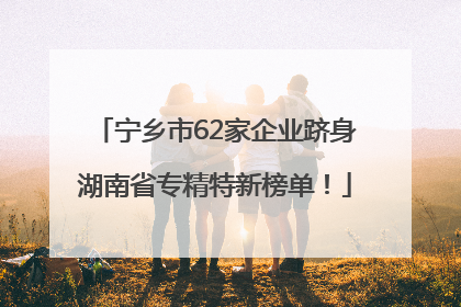 宁乡市62家企业跻身湖南省专精特新榜单！