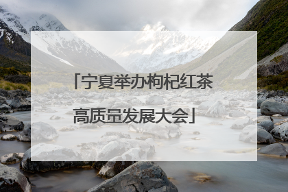 宁夏举办枸杞红茶高质量发展大会
