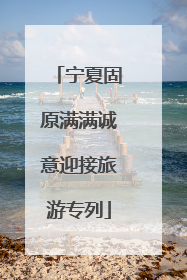 宁夏固原满满诚意迎接旅游专列