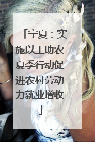 宁夏：实施以工助农夏季行动促进农村劳动力就业增收