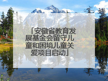 安徽省教育发展基金会留守儿童和困境儿童关爱项目启动