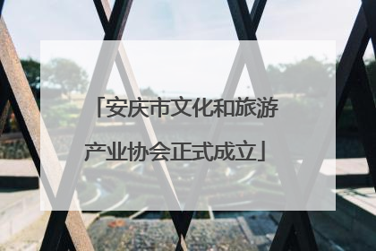 安庆市文化和旅游产业协会正式成立
