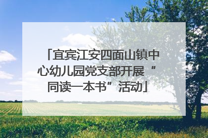宜宾江安四面山镇中心幼儿园党支部开展“同读一本书”活动
