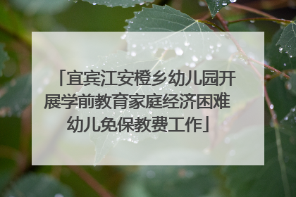 宜宾江安橙乡幼儿园开展学前教育家庭经济困难幼儿免保教费工作