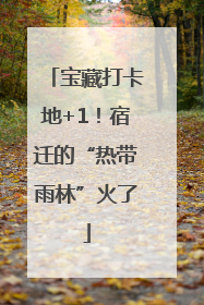 宝藏打卡地+1！宿迁的“热带雨林”火了