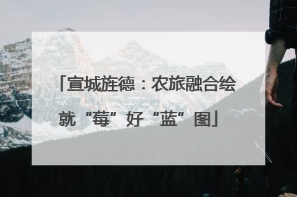 宣城旌德：农旅融合绘就“莓”好“蓝”图