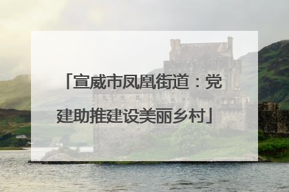 宣威市凤凰街道：党建助推建设美丽乡村
