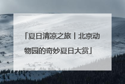 夏日清凉之旅丨北京动物园的奇妙夏日大赏