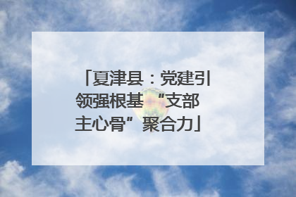 夏津县：党建引领强根基 “支部主心骨”聚合力