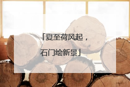 夏至荷风起，石门绘新景