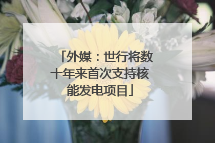 外媒：世行将数十年来首次支持核能发电项目