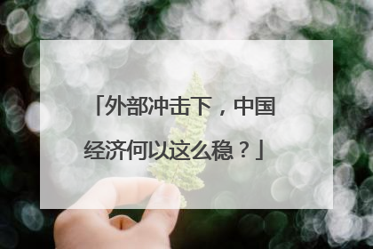 外部冲击下，中国经济何以这么稳？
