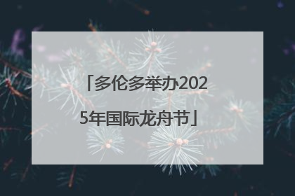 多伦多举办2025年国际龙舟节