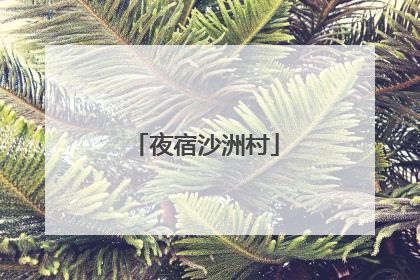 夜宿沙洲村