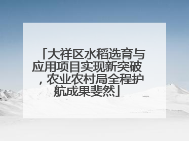 大祥区水稻选育与应用项目实现新突破，农业农村局全程护航成果斐然