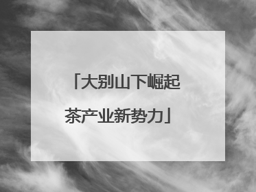 大别山下崛起茶产业新势力