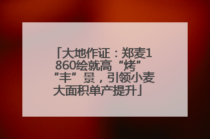 大地作证：郑麦1860绘就高“烤”“丰”景，引领小麦大面积单产提升